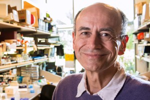 Thomas Südhof won the 2013 Nobel Prize in Physiology or Medicine.